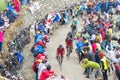 Tour of Italy: Cyclist racing on mountain dirt road Royalty Free Stock Photo