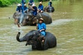 Tour of Thailand-Thailand elephant conservation center Lampang .