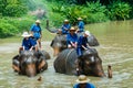 Tour of Thailand-Thailand elephant conservation center Lampang .