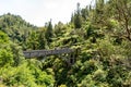 Tour on untouched Whanganui river and through the surrounding jungle, New Zealand Royalty Free Stock Photo