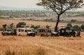 Tour vans against a Savannah landscape