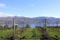 Tourism BC- Mission Hill Winery- Kelowna, BC- Westbank