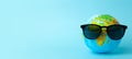 Tourism, ecology, vacation and globalism concept. Globe in sunglasses on a blue banner background. Minimal creative