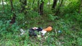 Tourism pollution, garbage in forest, park Royalty Free Stock Photo
