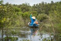 Tourism rowing boat in cajuput forest in floating water season in Mekong delta, Vietnam