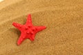 The red starfish lies on the sand.
