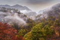 Tourist admiring Mt. Fuji in autumn, Japan