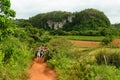 Tourist adventure in Cuba, Valley de Vinales