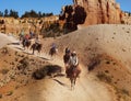 Tourists Ride Horses, Bryce National Park, Utah