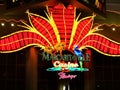 Las Vegas Night, Flamingo Casino, Tourist Attractions Royalty Free Stock Photo