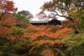 Autumn season at Tofukuji Kyoto Japan Royalty Free Stock Photo