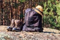 Two tourist backpacks, hiking boots and hat on the glade in pine forest Royalty Free Stock Photo