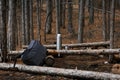 Tourist backpack, thermos with tea in the forest Royalty Free Stock Photo