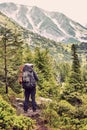Tourist with a backpack in the woods looking at mountain panorama
