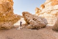 Tourist backpacker standing big desert stone rock arch. Royalty Free Stock Photo