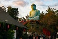 Tourist at big seated Buddha Statue