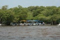 The river habitat at Celestun, Mexico