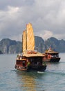 Tourist boats , Halong bay Vietnam