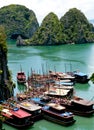 Tourist boats, Halong Bay, Vietnam Royalty Free Stock Photo