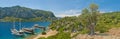 Tourist boats at an island with old olive tree Royalty Free Stock Photo