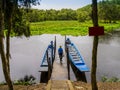 Tourist boats moored on lagoon pier  to explore Tra Su indigo forest, An Giang, Mekong delta, Vietnam Royalty Free Stock Photo