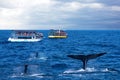Tourist boats and whale tails ocean view, Sri Lanka, Mirissa, whales watching safari