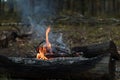 Tourist bonfire in autumn forest