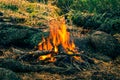 Tourist bonfire in the wild forest