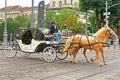 Tourist brougham with people on the streets, Lviv, Ukraine