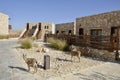 Tourist cabins in Negev desert, Israel. Royalty Free Stock Photo