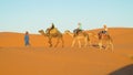 Tourist camel caravan in Africa sand desert dunes