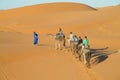 Tourist camel caravan in Africa sand desert dunes