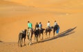 Tourist camel caravan in Africa sand desert dunes