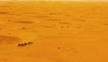 Camel caravan in Sahara desert Merzouga, Morocco Royalty Free Stock Photo