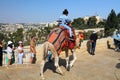 Tourist camel ride in Jerusalem, Israel