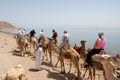 Tourist on camels