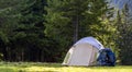 Tourist camp on green meadow with fresh grass in Carpathian mountains forest. Hikers tent and backpacks at camping site. Active li Royalty Free Stock Photo