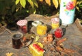 Tourist or camping breakfast in the autumn forest. Hot black tea with honey and sweets outdoors