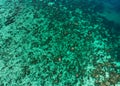 Tourist canoeing on emerald sea with coral reef in tropical island on sunny day