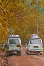 Tourist cars on a road in autumn forest background. Vertical Image. Holiday theme Royalty Free Stock Photo