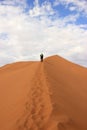 Tourist climbing a dune in the Sossusvlei desert, Namibia Royalty Free Stock Photo