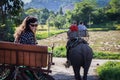 Tourist come visit and ride elephant