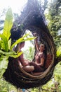 A tourist couple sitting on a large bird nest on a tree at Bali island Royalty Free Stock Photo