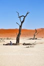 Tourist in Deadvlei, Namib-Naukluft National Park, Namibia, Africa