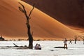 Tourist in Deadvlei, Namib-Naukluft National Park, Namibia, Africa