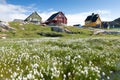 Tourist destination in the arctic. Panoramic photo of typical Greenland village houses. Rodebay
