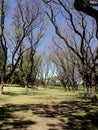 Tourist destination the Riverside Kings Park and Botanic Garden, Perth Australia. Royalty Free Stock Photo