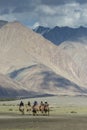 Tourist doing camel ridesin Hunder dunes of Nubra Valley