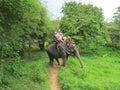 Tourist on an elephant adjusts his camera to make beautiful shots sitting astride an elephant during a Safari in the jungle.