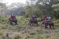 Tourist on an elephant safari in Chitwan National Park, Nepal Royalty Free Stock Photo